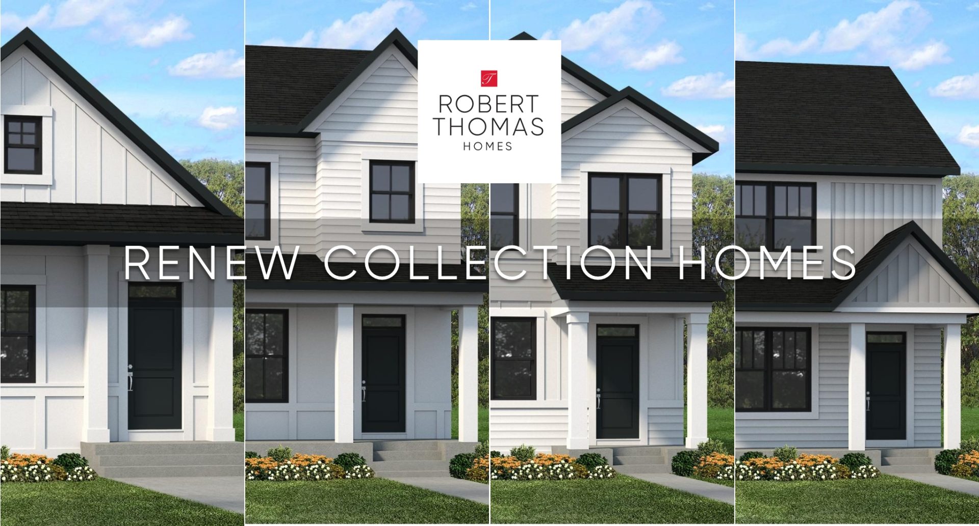 Renew Collection introduction