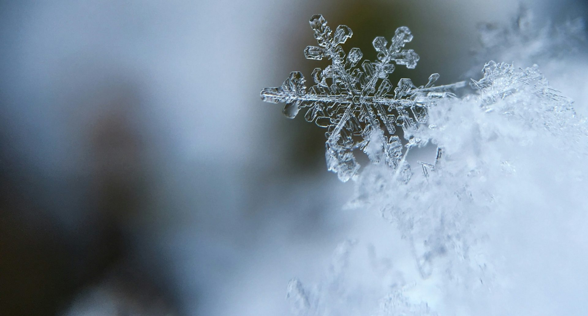 winter snoflake closeup