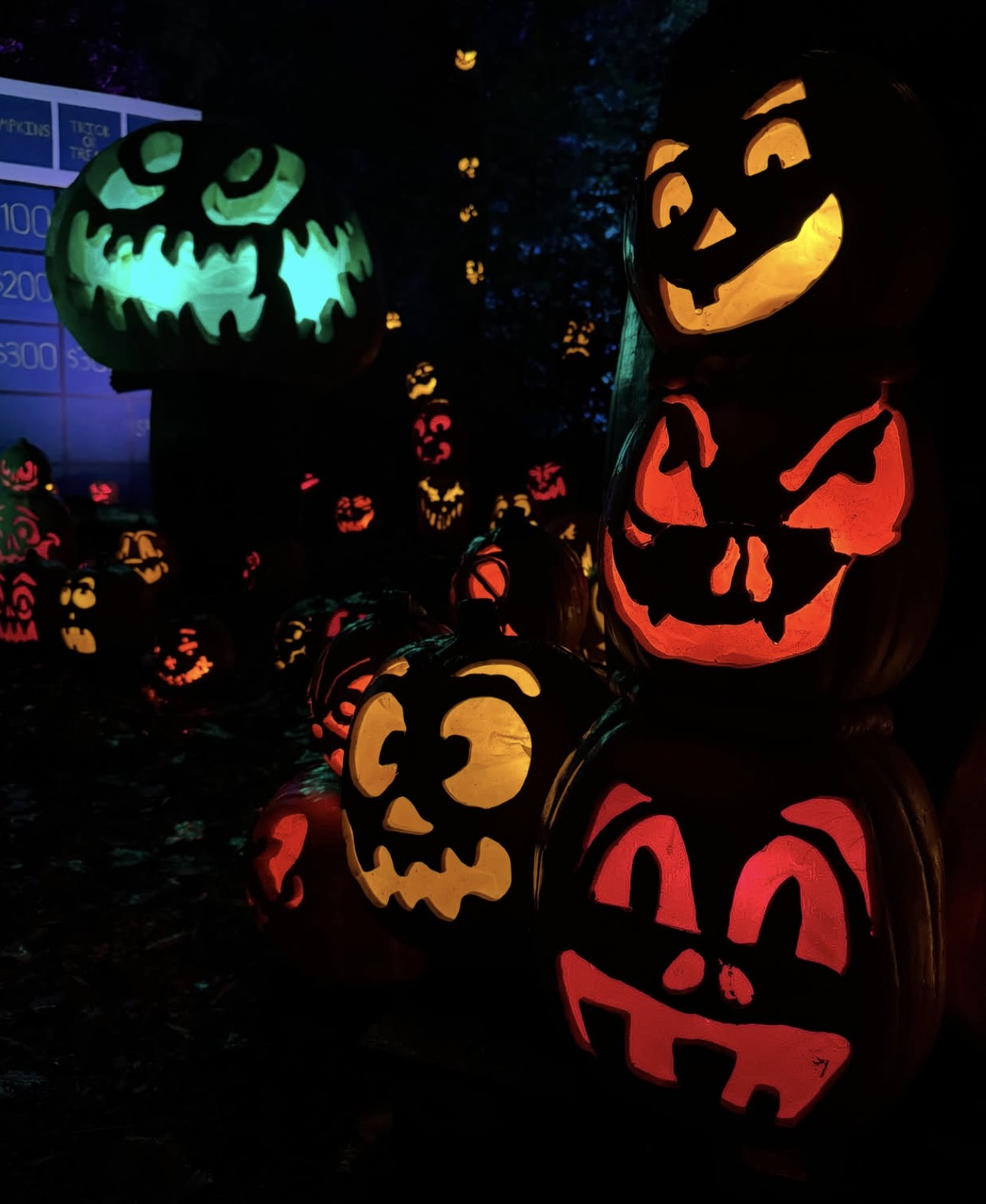 Minnesota Zoo Jack-o-Lantern Spectacular 